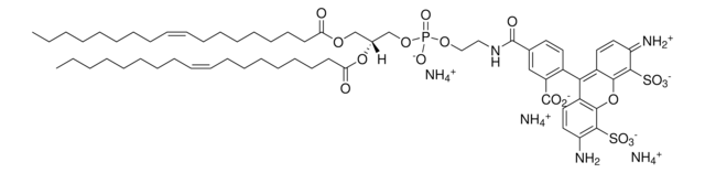 18:1 PE-TopFluor&#174; AF488 Avanti Polar Lipids