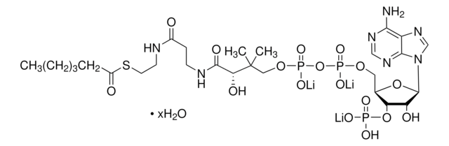 己酰基辅酶A 三锂盐 水合物 &#8805;85%