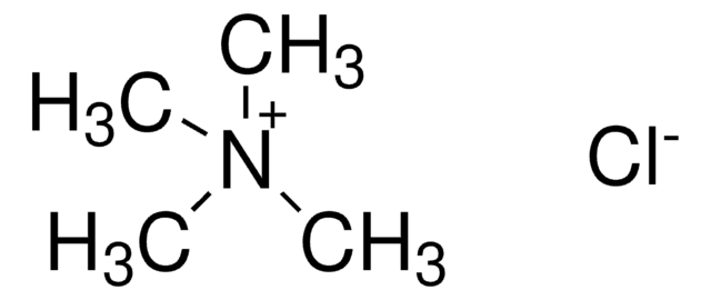 四甲基氯化铵 BioUltra, for molecular biology, &#8805;99.0% (AT)