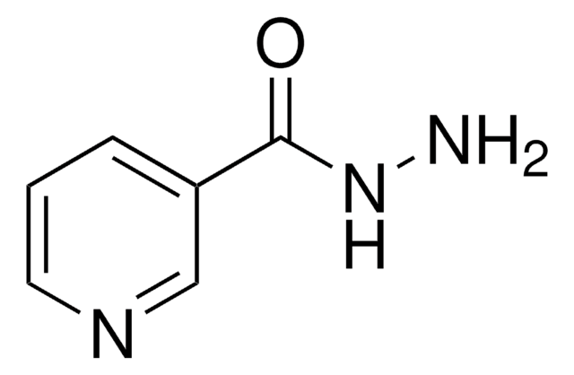 烟酰肼 97%