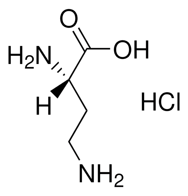 L-2,4-Diaminobutyric acid monohydrochloride &#8805;98.0% (AT), &#8805;98.0% (TLC)