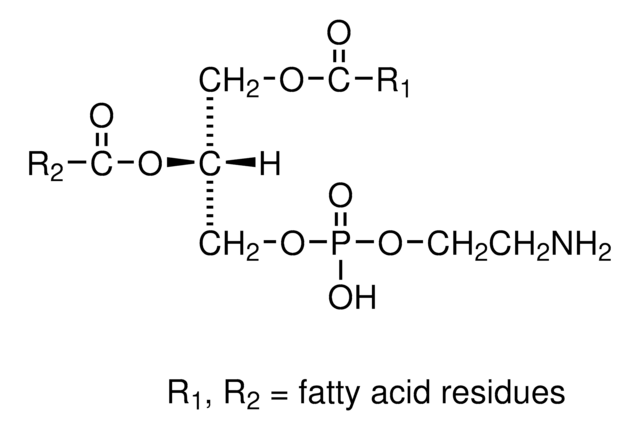 3- sn -磷脂酰乙醇胺 来源于牛大脑 Type I, &#8805;98% (TLC), lyophilized powder