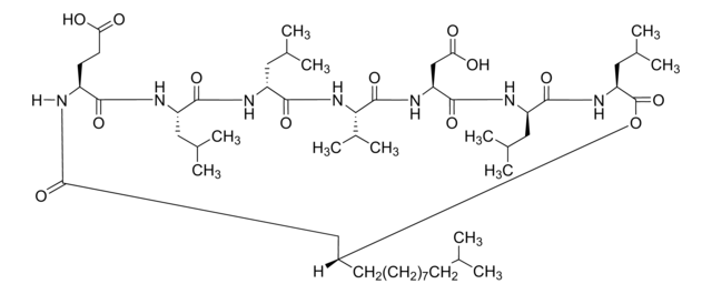 Surfactin from Bacillus subtilis, &#8805;98.0% (HPLC)