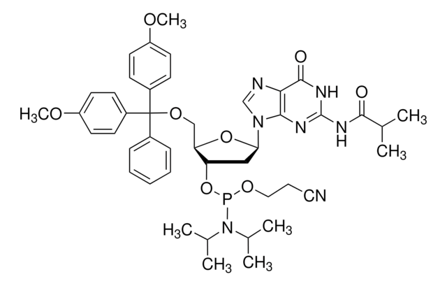 DMT-dG（ib）亚磷酰胺