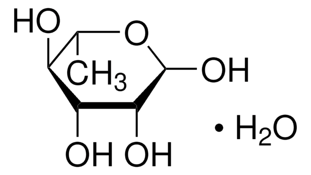 L-鼠李糖 一水合物 &#8805;99%