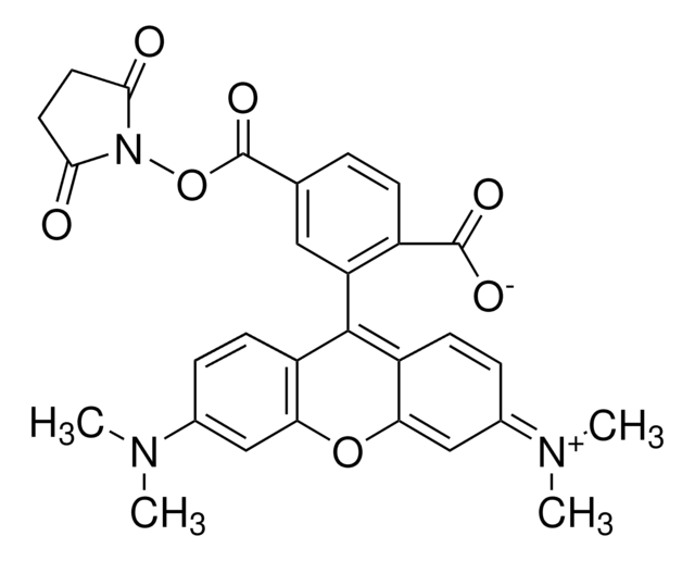 6-Carboxy-tetramethylrhodamine N-succinimidyl ester BioReagent, suitable for fluorescence