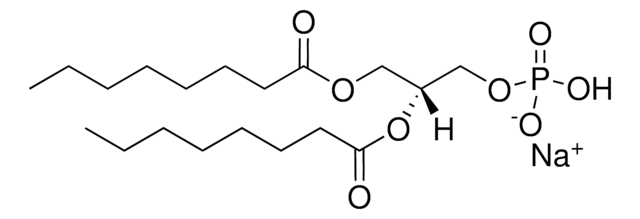 08:0 PA 1,2-dioctanoyl-sn-glycero-3-phosphate (sodium salt), powder