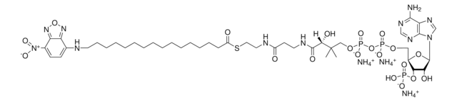 16-NBD-16:0 Coenzyme A Avanti Polar Lipids 810705P, powder