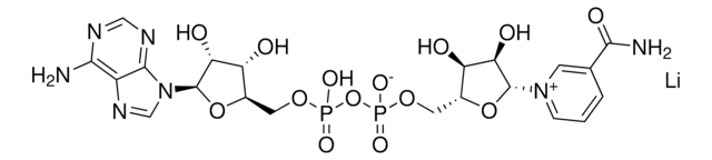 NAD+, Lithium Salt A major electron acceptor molecule in biological oxidations. Spectra (pH 7.0): 250/260 nm: 0.76-0.86; 280/260 nm: 0.18-0.28.