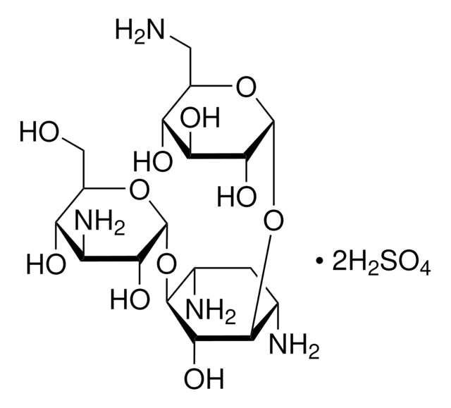 Kanamycin disulfate salt from Streptomyces kanamyceticus aminoglycoside antibiotic