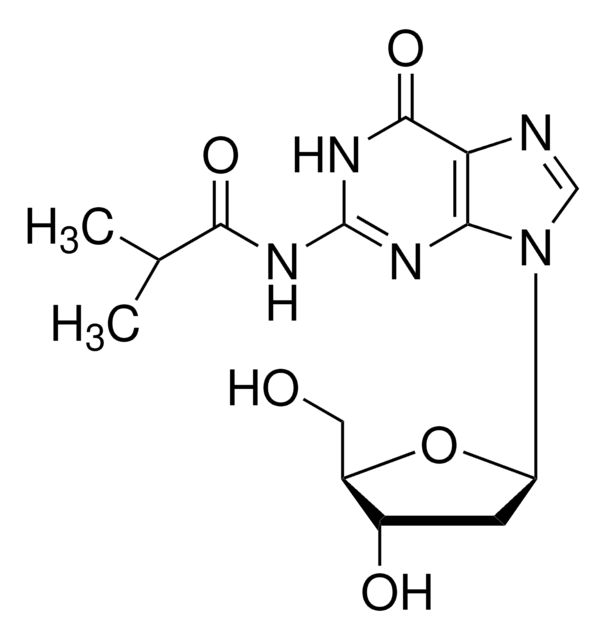 N2-Isobutyryl-2&#8242;-deoxyguanosine 98%