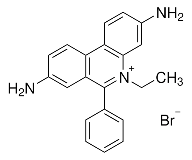 溴化乙啶 溶液 BioReagent, for molecular biology, 500&#160;&#956;g/mL in H2O