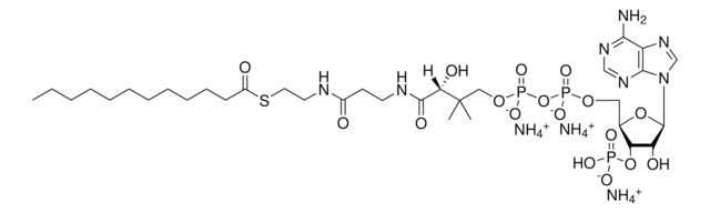 12:0 Coenzyme A Avanti Polar Lipids 870712P, powder