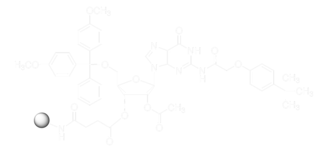 rG(tac)-CPG pore size 1000&#160;Å, 20-30 &#956;mol/g