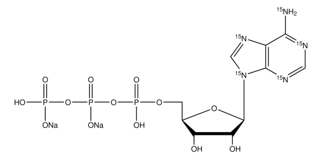 腺苷-15N5 5&#8242;-三磷酸 钠盐 溶液 100&#160;mM (in 5mM Tris HCl / H2O), &#8805;98 atom % 15N, &#8805;95% (CP)