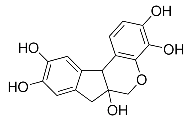 Delafield 苏木精溶液 for microscopy