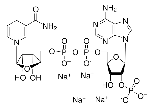 &#946;-烟酰胺腺嘌呤二核苷酸2&#8242;-磷酸，还原型 四钠盐 水合物 Vetec&#8482;, reagent grade, 97%