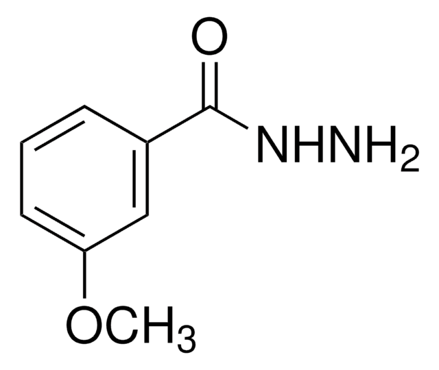 m-Anisic hydrazide 98%