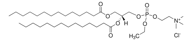 14:0 EPC (Cl Salt) Avanti Polar Lipids