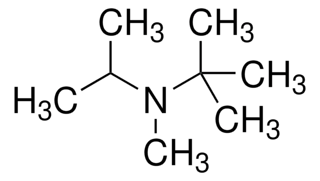 N -异丙基- N -甲基- 叔 -丁胺 98%