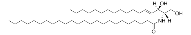 C24 Ceramide (d17:1/24:0) Avanti Polar Lipids 860649P, powder