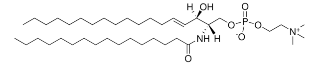 16:0 SM (d18:1/16:0) Avanti Research&#8482; - A Croda Brand, powder