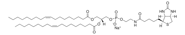 18:1 生物素 PE Avanti Polar Lipids 870282P, powder