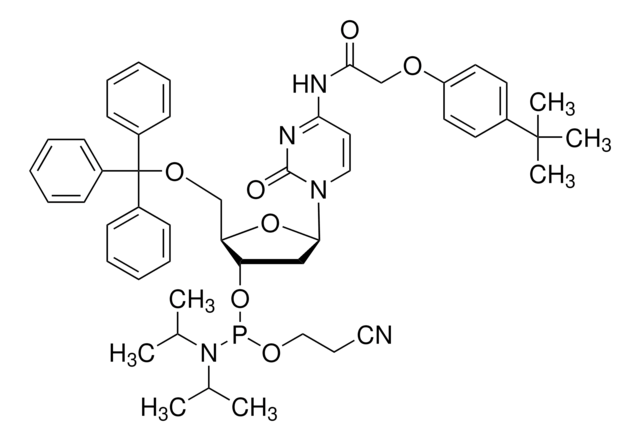 DMT-dC(tac) Phosphoramidite configured for MerMade