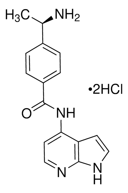 Y-39983 dihydrochloride &#8805;98% (HPLC)