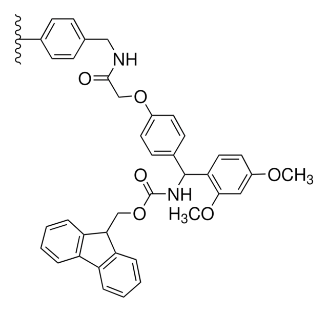 Rink Amide AM 树脂 100-200&#160;mesh, extent of labeling: 0.4-0.6&#160;mmol/g N loading, 1&#160;% cross-linked