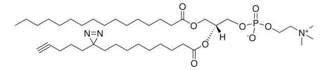 16:0-pacFA PC Avanti Polar Lipids 900407P, powder