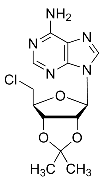 5&#8242;-Chloro-2&#8242;,3&#8242;-isopropylidene adenosine 97%