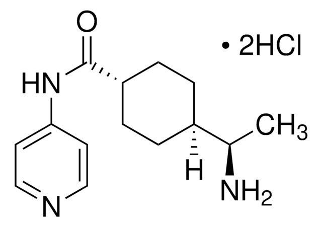 Y-27632 二盐酸盐 &#8805;98% (HPLC)