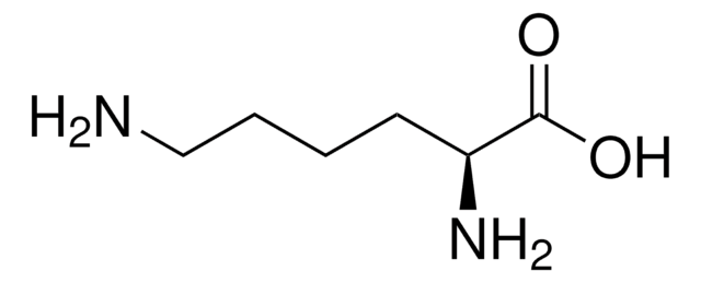 L-Lysine &#8805;97%