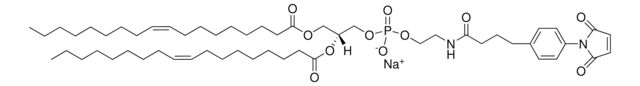 18:1 MPB PE Avanti Polar Lipids 870012C