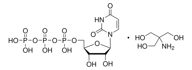 尿苷-5′-三磷酸酯 三羟甲基氨基甲烷盐 Type VI, &#8805;90%