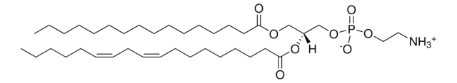 Soy PE Avanti Polar Lipids 840024P, powder