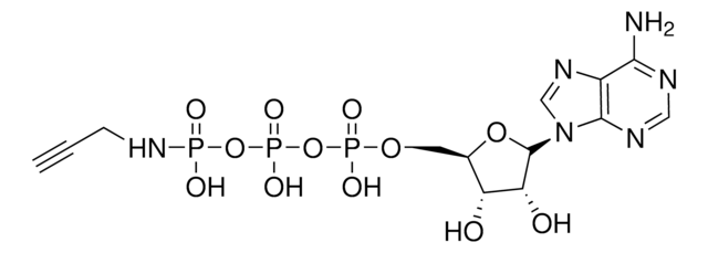 &#947;-[（炔丙基）-亚氨基]-ATP 钠盐