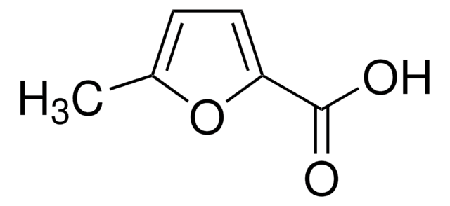 5-Methyl-2-furoic acid 97%