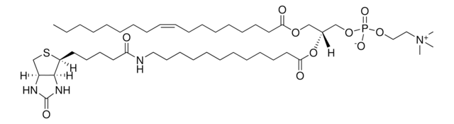 18:1-12:0 Biotin PC Avanti Research&#8482; - A Croda Brand 860563C