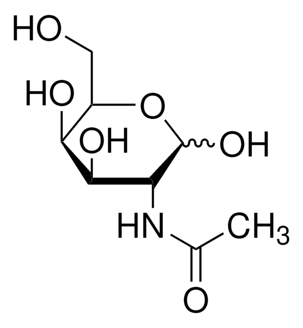 N-乙酰-d-半乳糖胺 &#8805;98% (HPLC)