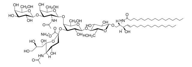 C17:0 GM1 (synthetic) Avanti Research&#8482; - A Croda Brand