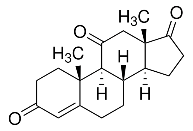 Adrenosterone 98%