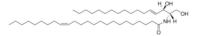 C24:1 Ceramide (d17:1/24:1(15Z)) Avanti Polar Lipids 860650P, powder