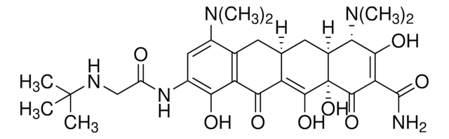 Tigecycline A broad-spectrum glyclcycline class of antimicrobial agent that is active against both Gram positive and Gram negative bacteria.