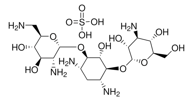 Kanamycin B sulfate salt European Pharmacopoeia (EP) Reference Standard