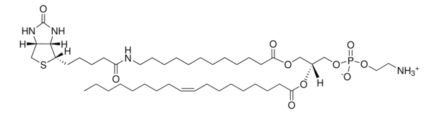 12:0 生物素-18:1 PE Avanti Polar Lipids, chloroform solution