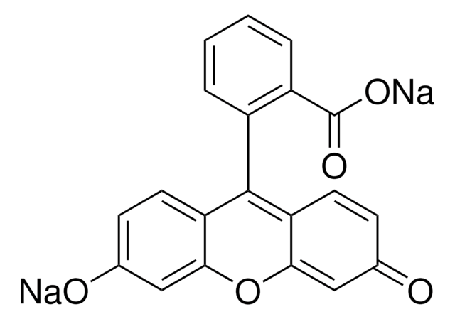 荧光素 钠盐 p.a., for source staining