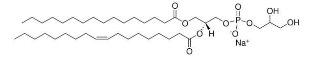 磷脂酰甘油 Avanti Polar Lipids