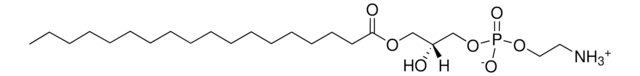 18:0 溶血剂 PE 1-Stearoyl-2-Hydroxy-sn-Glycero-3-Phosphoethanolamine, powder